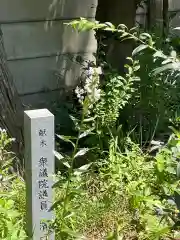 高麗神社の自然