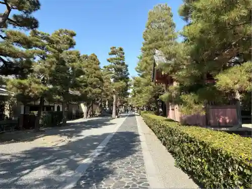 大徳寺(京都府)