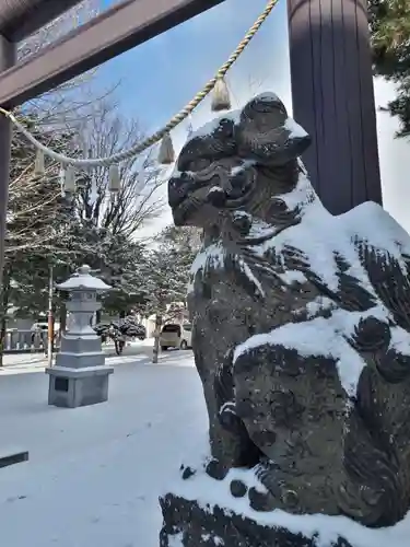 札幌村神社の狛犬