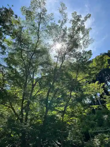 高麗神社の自然