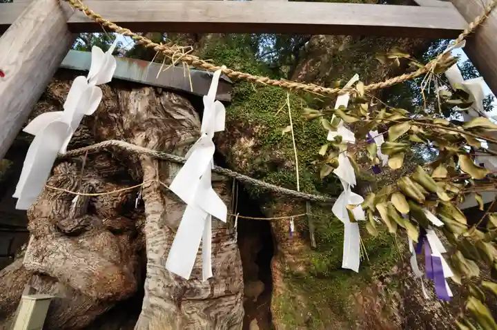 須賀神社(高知県)