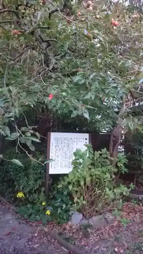 瑞雲寺(岐阜県)