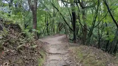 天開稲荷社の自然