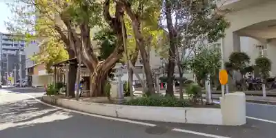 楠木大神(大阪府)