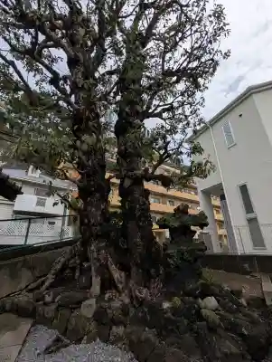 根岸町王子稲荷社の{uncategorized: "未分類", other: "その他", undefined: "問題あり", building: "その他建物", grave: "お墓", sacred_gate: "鳥居", guardian: "狛犬", statue: "像", buddha: "仏像", history: "歴史", nature: "自然", garden: "庭園", animal: "動物", pagoda: "塔", temizu: "手水舎", mountain_gate: "山門・神門", sanctuary: "本殿・本堂", subordinate: "末社・摂社", art: "芸術", scenery: "景色", jizo: "地蔵", ema: "絵馬", goshuin: "御朱印", omikuji: "おみくじ", items: "授与品その他", amulet: "お守り", goshuincho: "御朱印帳", eats: "食事", festival: "お祭り", votive_dance: "神楽", shichigosan: "七五三参", wedding: "結婚式", experience: "体験その他", initially: "初詣", around: "周辺", anti_infection: "感染症対策"}