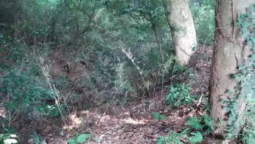 新宮神社の周辺