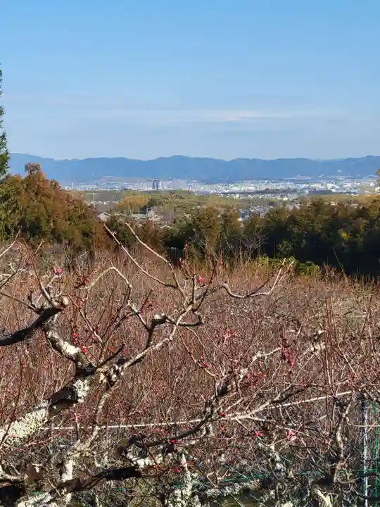 正法寺(京都府)