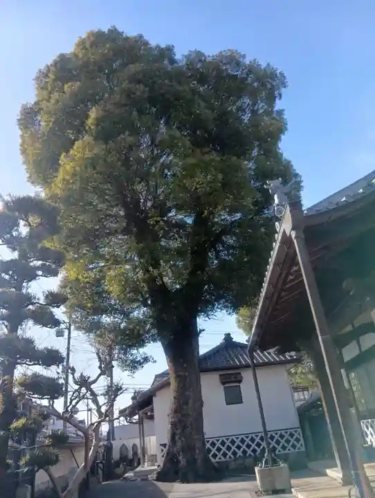 勝林寺(岐阜県)