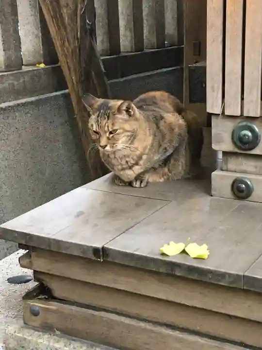 小野照崎神社の動物