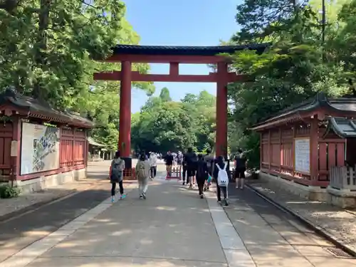 武蔵一宮氷川神社の鳥居