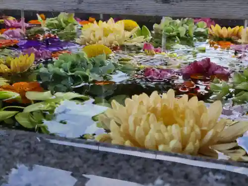 豊景神社の手水舎