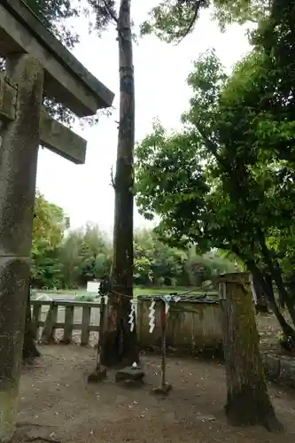 成合春日神社の自然