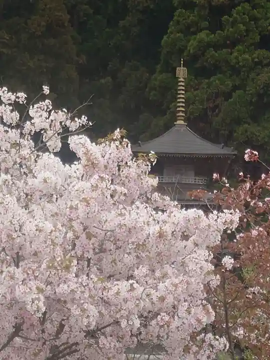 酒吞童子神社(新潟県)