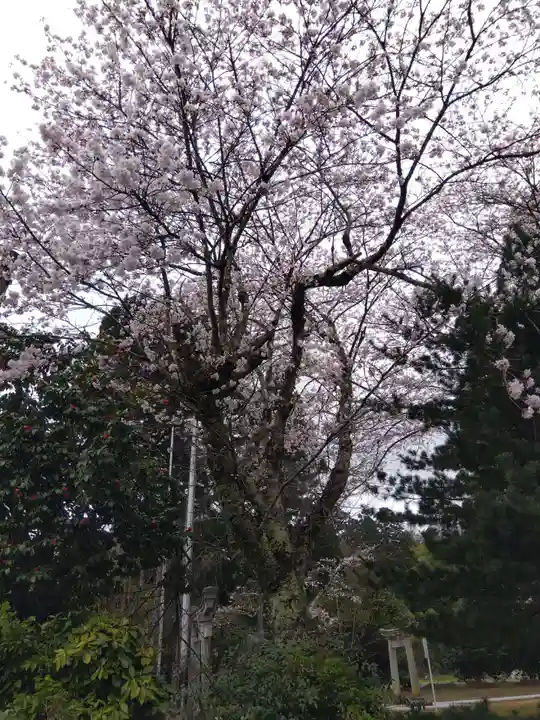 八幡神社(福井県)