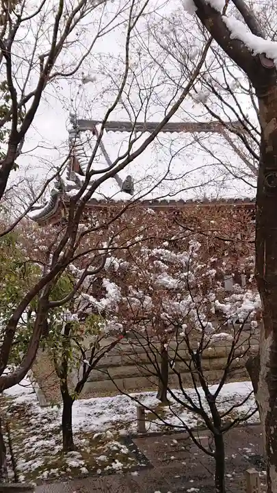 智積院(京都府)