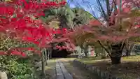 勝持寺(花の寺)(京都府)