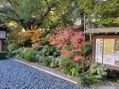 東京大神宮(東京都)