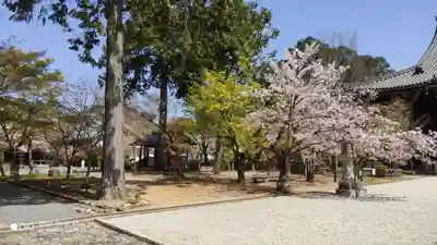 真正極楽寺(真如堂)のその他建物