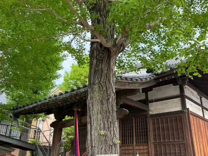 治兵衛稲荷神社の{uncategorized: "未分類", other: "その他", undefined: "問題あり", building: "その他建物", grave: "お墓", sacred_gate: "鳥居", guardian: "狛犬", statue: "像", buddha: "仏像", history: "歴史", nature: "自然", garden: "庭園", animal: "動物", pagoda: "塔", temizu: "手水舎", mountain_gate: "山門・神門", sanctuary: "本殿・本堂", subordinate: "末社・摂社", art: "芸術", scenery: "景色", jizo: "地蔵", ema: "絵馬", goshuin: "御朱印", omikuji: "おみくじ", items: "授与品その他", amulet: "お守り", goshuincho: "御朱印帳", eats: "食事", festival: "お祭り", votive_dance: "神楽", shichigosan: "七五三参", wedding: "結婚式", experience: "体験その他", initially: "初詣", around: "周辺", anti_infection: "感染症対策"}