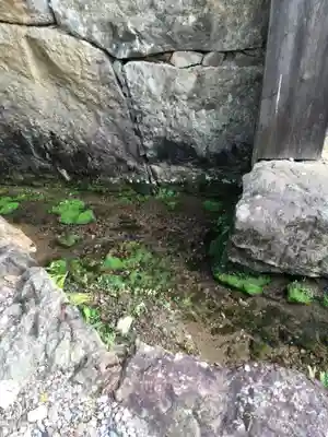 出雲大社(島根県)