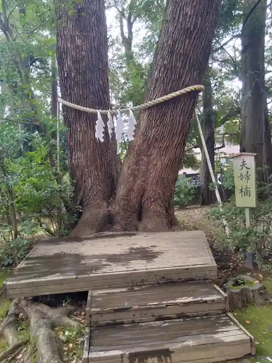 武蔵一宮氷川神社のその他建物