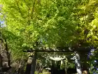 葛原岡神社の鳥居