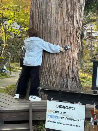 関興寺(新潟県)