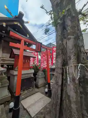 櫻木神社(東京都)