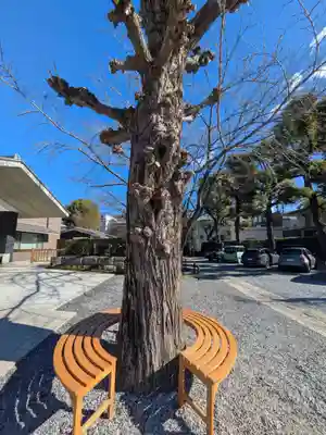 宝仙寺(東京都)