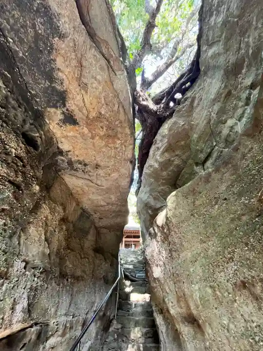秋葉神社の{uncategorized: "未分類", other: "その他", undefined: "問題あり", building: "その他建物", grave: "お墓", sacred_gate: "鳥居", guardian: "狛犬", statue: "像", buddha: "仏像", history: "歴史", nature: "自然", garden: "庭園", animal: "動物", pagoda: "塔", temizu: "手水舎", mountain_gate: "山門・神門", sanctuary: "本殿・本堂", subordinate: "末社・摂社", art: "芸術", scenery: "景色", jizo: "地蔵", ema: "絵馬", goshuin: "御朱印", omikuji: "おみくじ", items: "授与品その他", amulet: "お守り", goshuincho: "御朱印帳", eats: "食事", festival: "お祭り", votive_dance: "神楽", shichigosan: "七五三参", wedding: "結婚式", experience: "体験その他", initially: "初詣", around: "周辺", anti_infection: "感染症対策"}