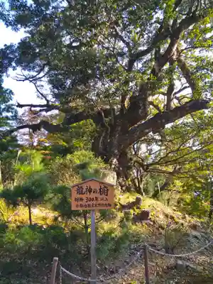 成相寺(京都府)