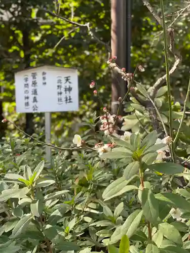 阿佐ヶ谷神明宮(東京都)