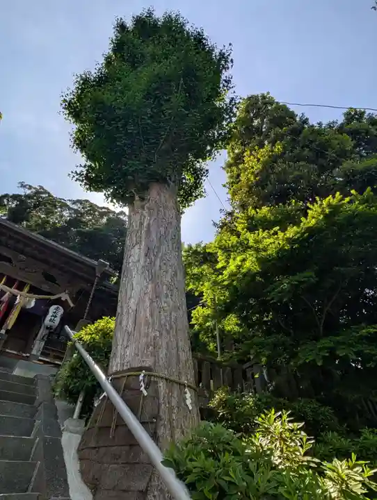 走水神社(神奈川県)