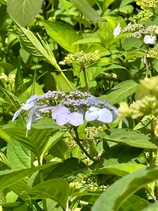 霊源院(京都府)