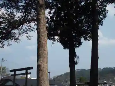 小鎚神社のその他建物