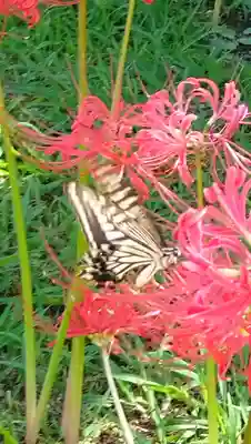 横浜　西方寺(神奈川県)