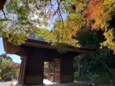普門寺(切り絵御朱印発祥の寺)の山門・神門
