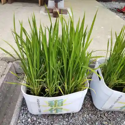 七重浜海津見神社(北海道)