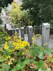 白山媛神社(新潟県)