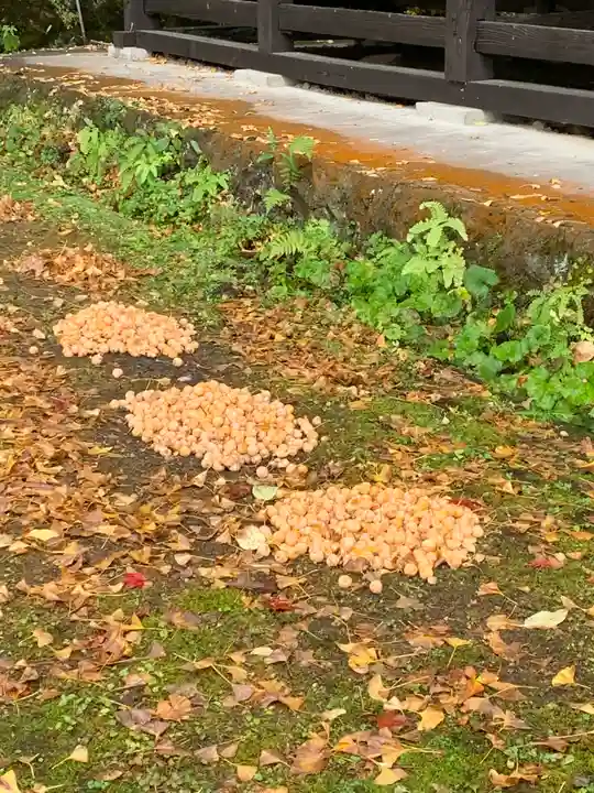 宮昌寺(福島県)