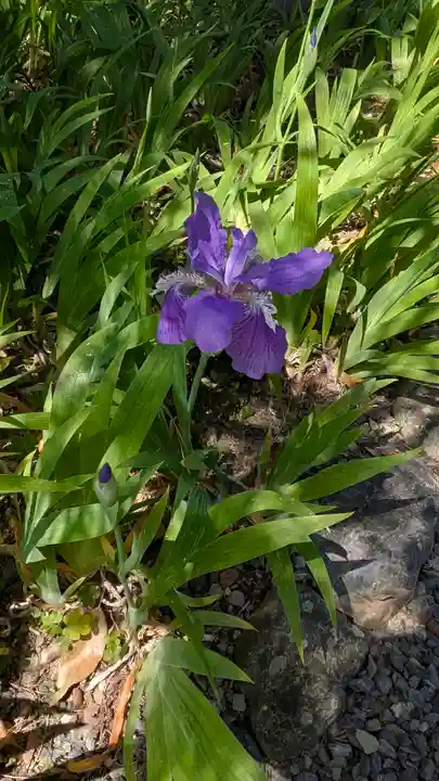 得浄明院(善光寺別院)(京都府)