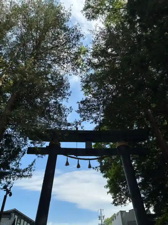 諏訪大社の{uncategorized: "未分類", other: "その他", undefined: "問題あり", building: "その他建物", grave: "お墓", sacred_gate: "鳥居", guardian: "狛犬", statue: "像", buddha: "仏像", history: "歴史", nature: "自然", garden: "庭園", animal: "動物", pagoda: "塔", temizu: "手水舎", mountain_gate: "山門・神門", sanctuary: "本殿・本堂", subordinate: "末社・摂社", art: "芸術", scenery: "景色", jizo: "地蔵", ema: "絵馬", goshuin: "御朱印", omikuji: "おみくじ", items: "授与品その他", amulet: "お守り", goshuincho: "御朱印帳", eats: "食事", festival: "お祭り", votive_dance: "神楽", shichigosan: "七五三参", wedding: "結婚式", experience: "体験その他", initially: "初詣", around: "周辺", anti_infection: "感染症対策"}