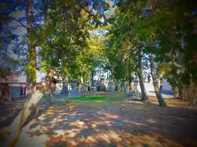 津島社（小茂井）のその他建物