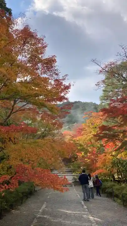 二尊院(京都府)
