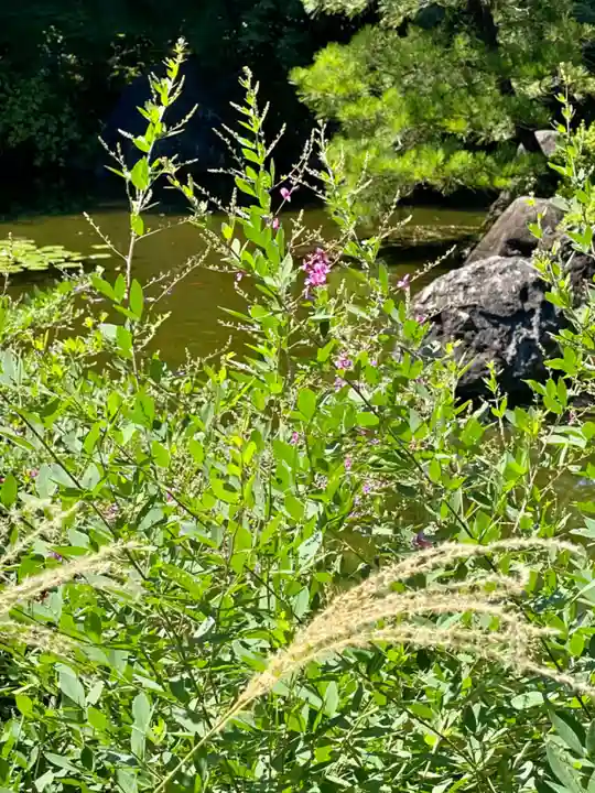 城南宮(京都府)