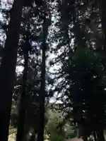 大宮温泉神社(栃木県)