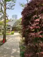 実相寺(東京都)