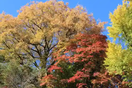 愛宕神社の景色