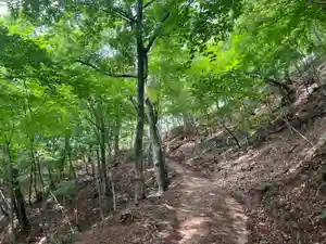 国宝 大法寺(長野県)(2025年07月15日(火) 16時12分42秒投稿)