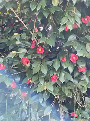 南明禪院(南明院)の自然